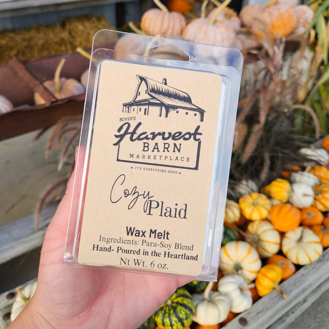 A hand holds a clear plastic clamshell package of Harvest Barn Market Place Cozy Plaid wax melt in front of a rustic fall market display filled with pumpkins and hay.