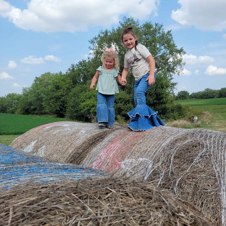 Harvest Barn Fun Farm – The Harvest Barn